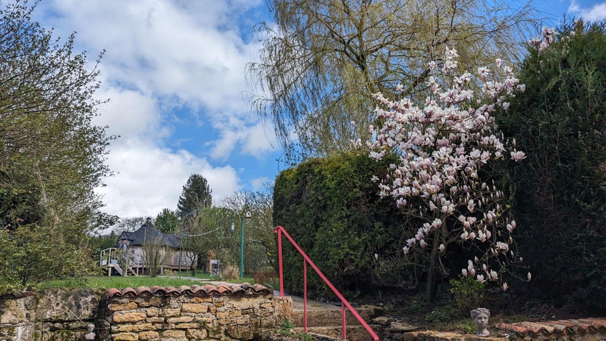 Gîte La Volette Moulins-Saint-Hubert Extérieur photo